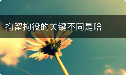 拘留拘役的关键不同是啥