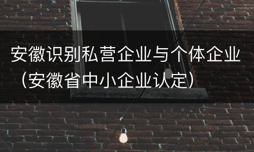 安徽识别私营企业与个体企业（安徽省中小企业认定）