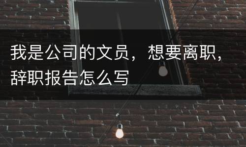 我是公司的文员，想要离职，辞职报告怎么写