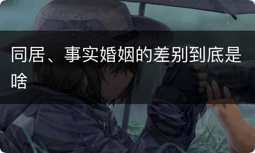 同居、事实婚姻的差别到底是啥