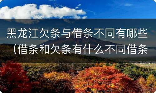 黑龙江欠条与借条不同有哪些（借条和欠条有什么不同借条书写）