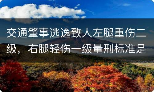 交通肇事逃逸致人左腿重伤二级，右腿轻伤一级量刑标准是什么