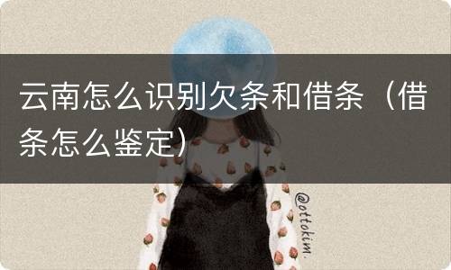 云南怎么识别欠条和借条（借条怎么鉴定）