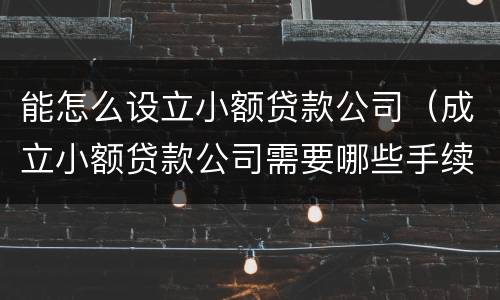 能怎么设立小额贷款公司（成立小额贷款公司需要哪些手续）