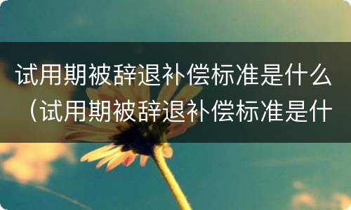 试用期被辞退补偿标准是什么（试用期被辞退补偿标准是什么样的）