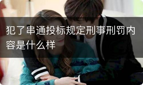 犯了串通投标规定刑事刑罚内容是什么样