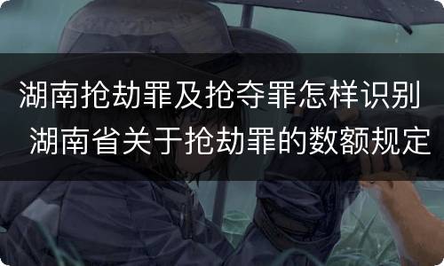 湖南抢劫罪及抢夺罪怎样识别 湖南省关于抢劫罪的数额规定