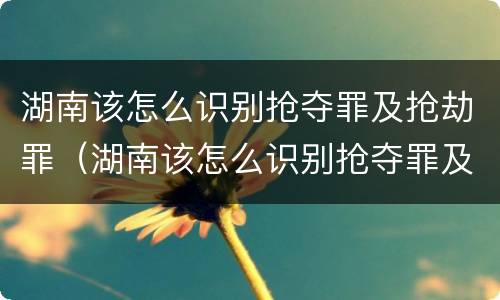 湖南该怎么识别抢夺罪及抢劫罪（湖南该怎么识别抢夺罪及抢劫罪呢）