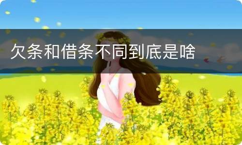 欠条和借条不同到底是啥
