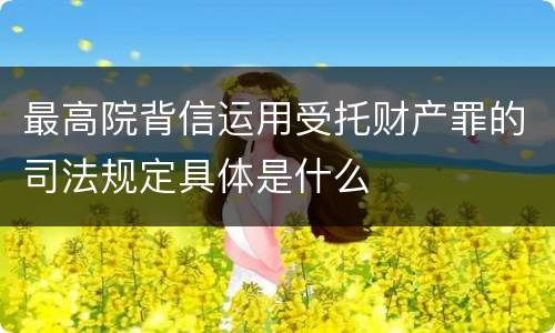 最高院背信运用受托财产罪的司法规定具体是什么