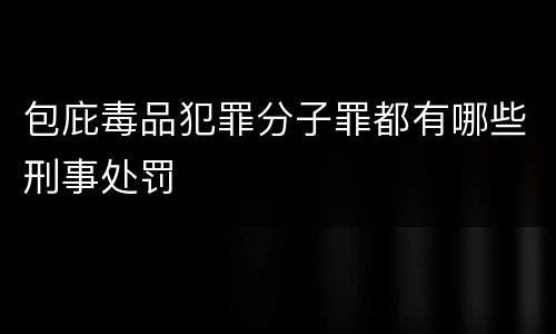 包庇毒品犯罪分子罪都有哪些刑事处罚