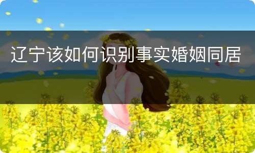 辽宁该如何识别事实婚姻同居