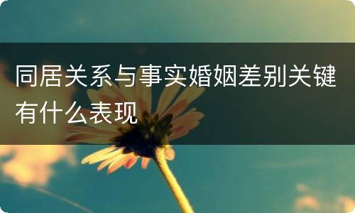 同居关系与事实婚姻差别关键有什么表现