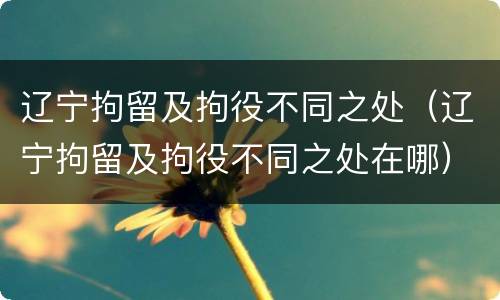 辽宁拘留及拘役不同之处(辽宁拘留及拘役不同之处在哪)