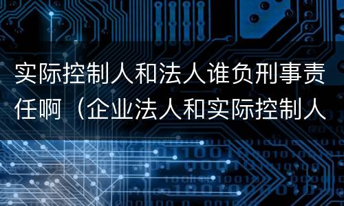 实际控制人和法人谁负刑事责任啊（企业法人和实际控制人 谁承担刑事责任）