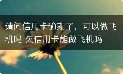 请问信用卡逾期了，可以做飞机吗 欠信用卡能做飞机吗