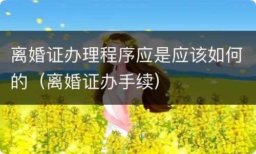 离婚证办理程序应是应该如何的（离婚证办手续）