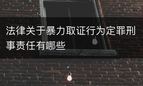 法律关于暴力取证行为定罪刑事责任有哪些