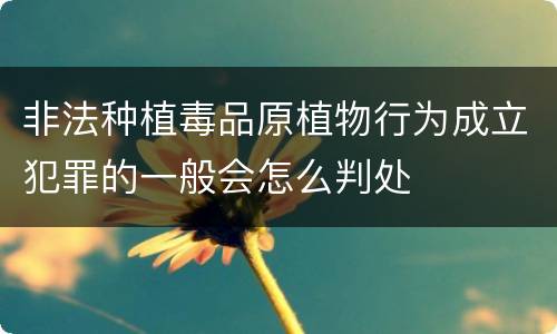 非法种植毒品原植物行为成立犯罪的一般会怎么判处