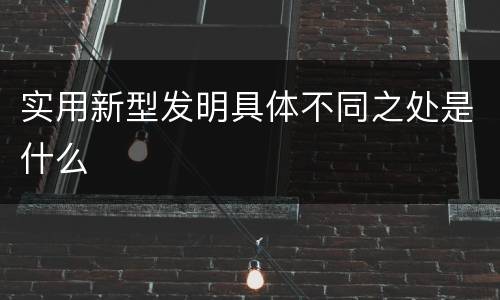 实用新型发明具体不同之处是什么
