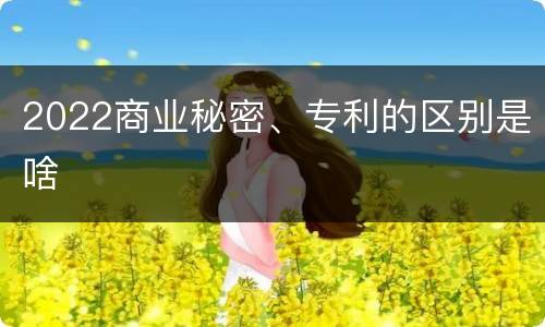 2022商业秘密、专利的区别是啥