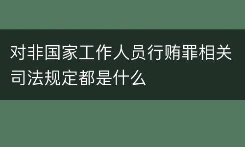 对非国家工作人员行贿罪相关司法规定都是什么