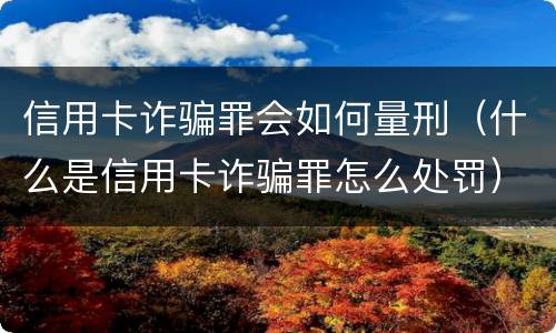 信用卡诈骗罪会如何量刑（什么是信用卡诈骗罪怎么处罚）