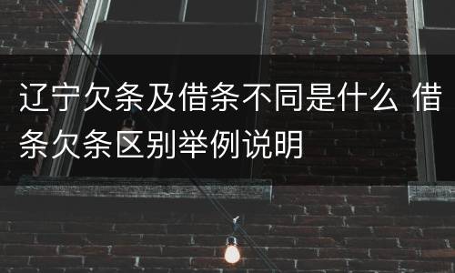 辽宁欠条及借条不同是什么 借条欠条区别举例说明