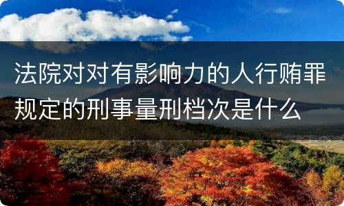 法院对对有影响力的人行贿罪规定的刑事量刑档次是什么