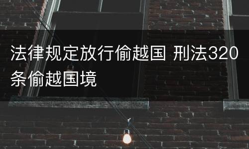 法律规定放行偷越国 刑法320条偷越国境