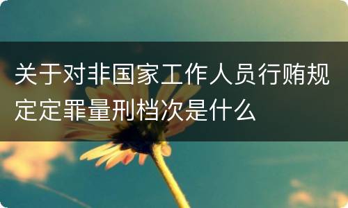 关于对非国家工作人员行贿规定定罪量刑档次是什么