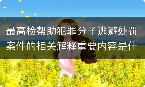 最高检帮助犯罪分子逃避处罚案件的相关解释重要内容是什么