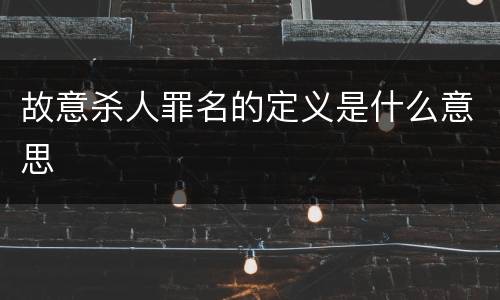 故意杀人罪名的定义是什么意思