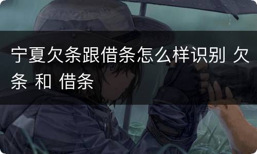 宁夏欠条跟借条怎么样识别 欠条 和 借条