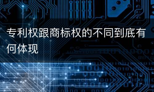 专利权跟商标权的不同到底有何体现