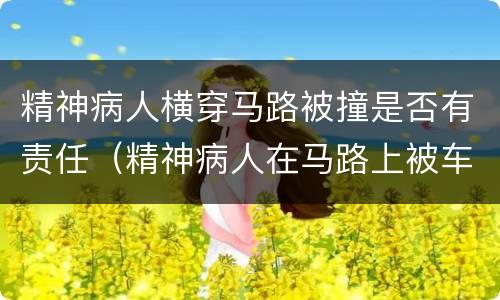 精神病人横穿马路被撞是否有责任（精神病人在马路上被车撞了谁的责任）