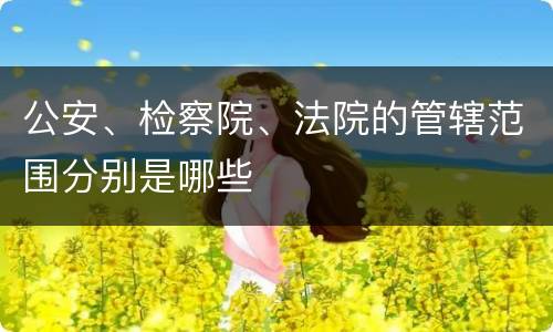 公安、检察院、法院的管辖范围分别是哪些