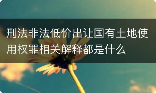 刑法非法低价出让国有土地使用权罪相关解释都是什么