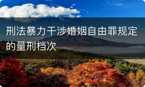 刑法暴力干涉婚姻自由罪规定的量刑档次