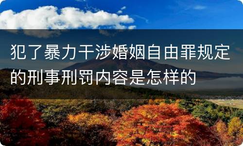 犯了暴力干涉婚姻自由罪规定的刑事刑罚内容是怎样的