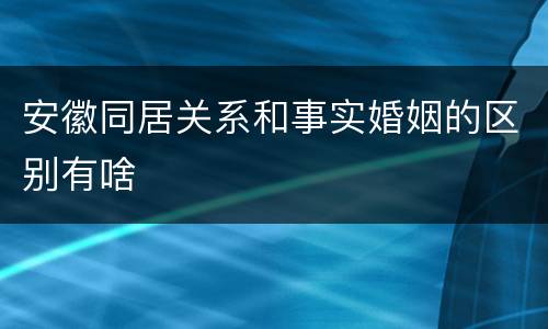 安徽同居关系和事实婚姻的区别有啥
