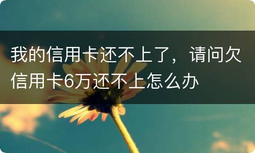 我的信用卡还不上了，请问欠信用卡6万还不上怎么办