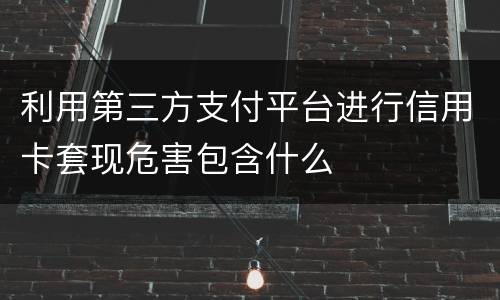 利用第三方支付平台进行信用卡套现危害包含什么