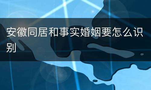 安徽同居和事实婚姻要怎么识别