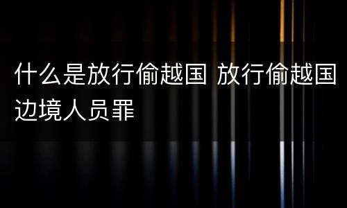 什么是放行偷越国 放行偷越国边境人员罪