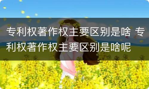 专利权著作权主要区别是啥 专利权著作权主要区别是啥呢