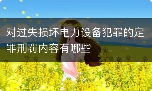 对过失损坏电力设备犯罪的定罪刑罚内容有哪些