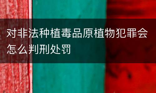 对非法种植毒品原植物犯罪会怎么判刑处罚