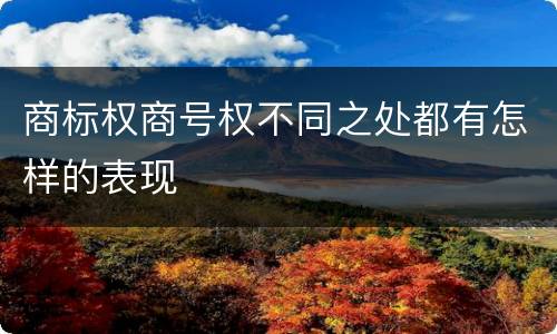 商标权商号权不同之处都有怎样的表现