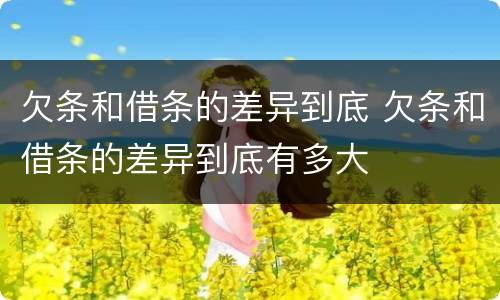 欠条和借条的差异到底 欠条和借条的差异到底有多大